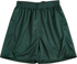Picture of Winning Spirit Adult Shoot Soccer Shorts (SS25)