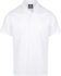 Picture of Aussie Pacific Mens Botany Polo (1307)