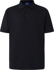 Picture of Winning Spirit Mens Victory Polo (PS33)